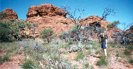 Mary in King's Canyon