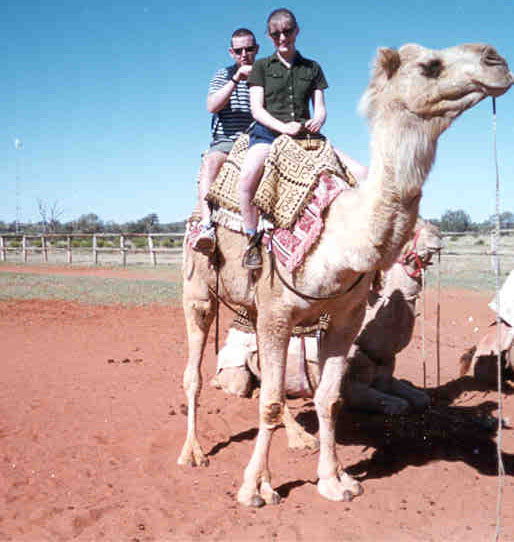 Alternative means of transport in the Outback at a camel farm just outside Alice Springs ... Click here to return to this photo's thumbnail in the Travel Photo Index
