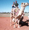 Alternative means of transport in the Outback at a camel farm just outside Alice Springs