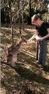 Making friends with the natives!